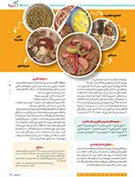 مریم مرادی غذاهای سنتی استان همدان