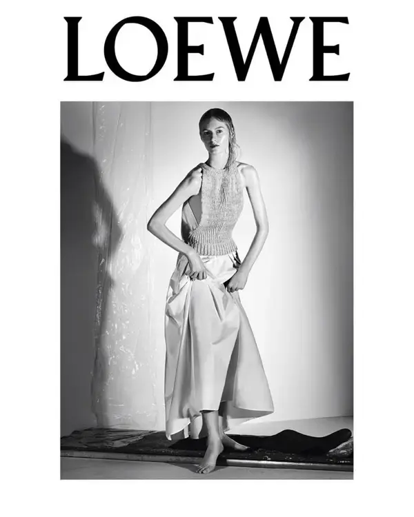 جلد مجله Loewe