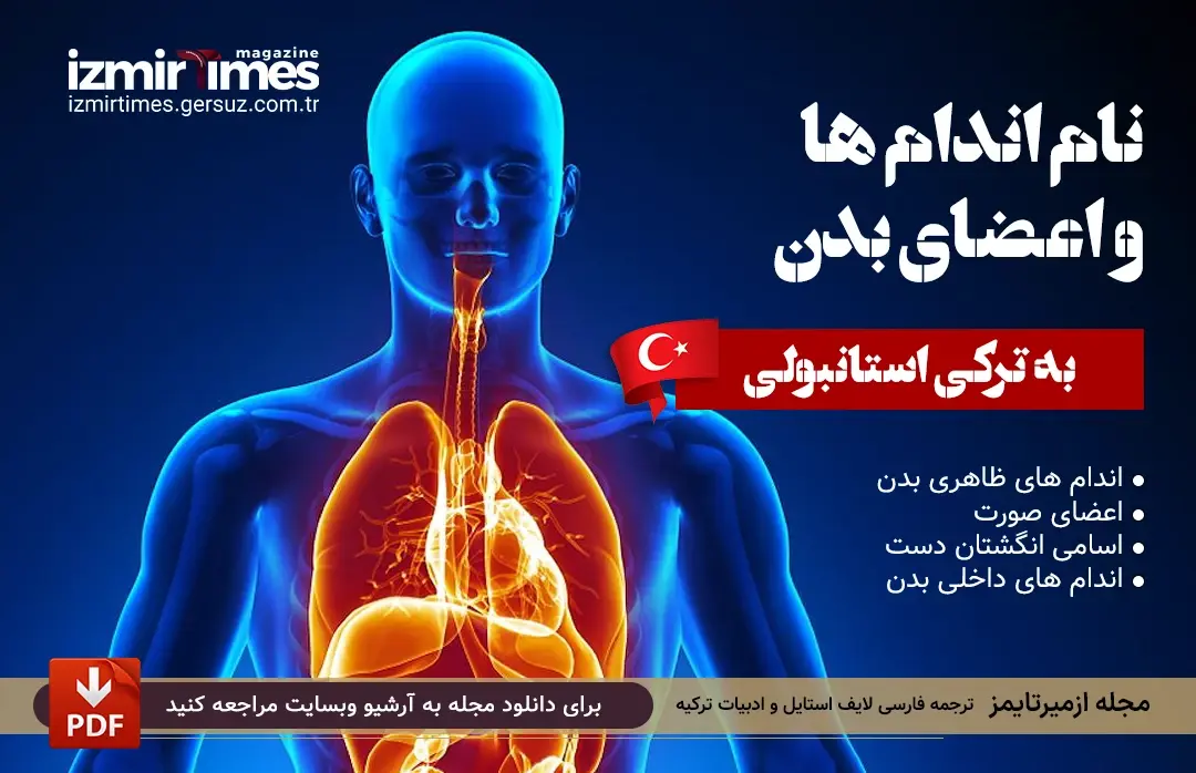 اندام های بیرونی و داخلی بدن به ترکی استانبولی